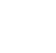 Southern Logistics logo