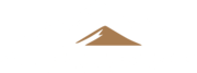 Southern Stone Surfaces logo