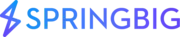 Springbig logo