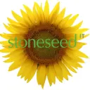 Stoneseed logo