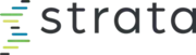 Strata Information Technology logo