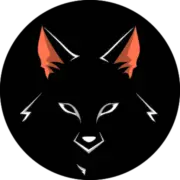 Surface Coach logo