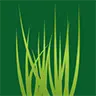Sweet Grass Essentials logo