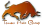 Taurus Auto Group logo