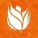 TeamNL logo