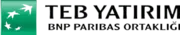 TEB Yatırım logo
