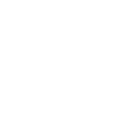 Teleport Hotels logo