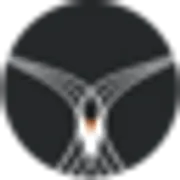 Tern Systems logo