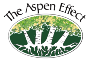 The Aspen Effect logo