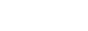 The Developing Foundation Inc logo