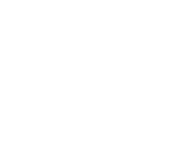The Leeann Marie Collective