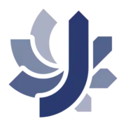 The London Orthotic Consultancy logo