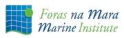 The Marine Institute of Ireland logo