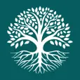 The National Academy of Social Insurance logo
