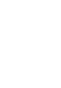 The Nicholson Project logo