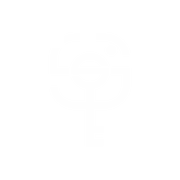 The Secret Society logo