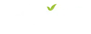 Typhoo Teas logo