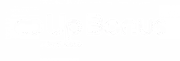 UpBonus logo