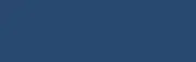 Vaidio logo