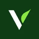 Vaio logo