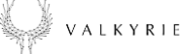 Valkyrie logo