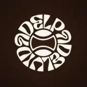 Vida Del Padel logo