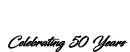 Vida Shoes International (Vida Group) logo