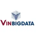 VinBigData logo