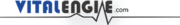 Vitalengine logo