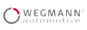 Wegmann Automotive Polska Sp. Z O.o logo