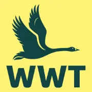 Wildfowl & Wetlands Trust (wwt)