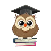 Wise Owl logo