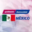 Wittmann Robot Systeme GmbH logo