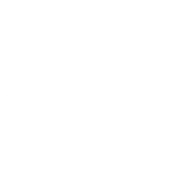 Woodland Star International School logo
