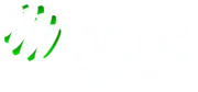 World Connection