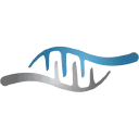 XytoVet logo
