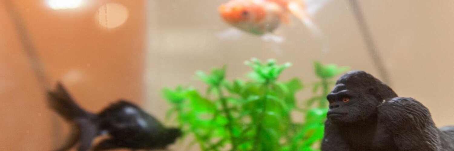 Gorilla Group banner