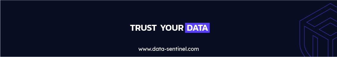 Data Sentinel Inc. banner