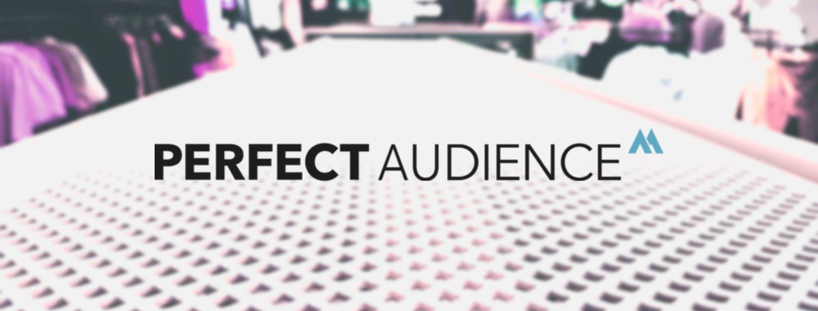 Perfect Audience banner