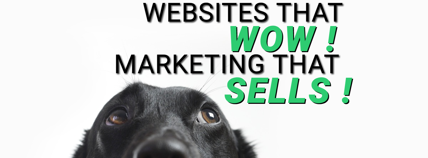 Savage Global Marketing banner