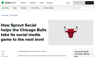 Preview of the Chicago Bulls Case Study