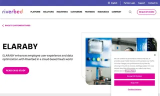 Preview of the Elaraby Group Case Study