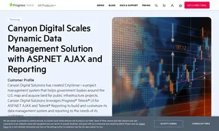 Preview of the Canyon Digital Solutions Case Study