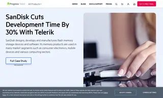Preview of the SanDisk Case Study