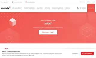 Preview of the ISTAT Case Study