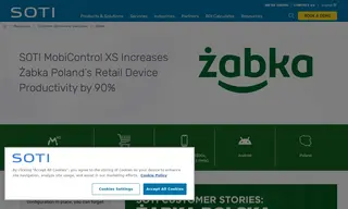 Preview of the Żabka Case Study