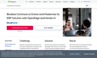 Preview of the Bluebee Software Case Study