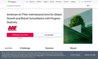 Preview of the American Air Filter Case Study