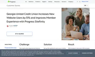 Preview of the Georgia United Credit Union Case Study