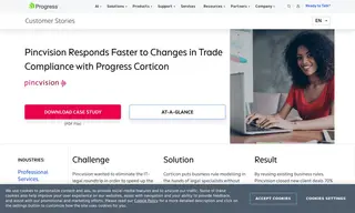 Preview of the Pincvision Case Study